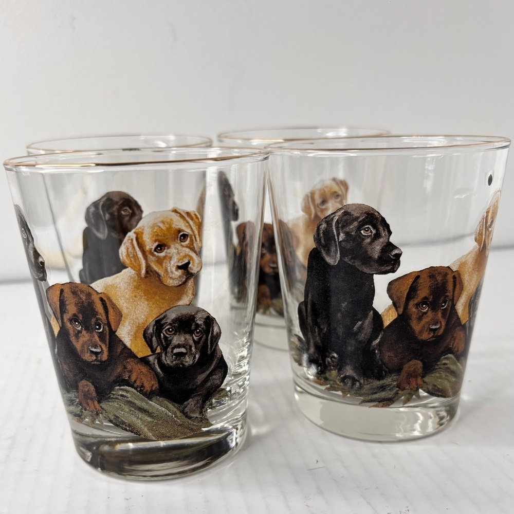 Labrador Retriever Set Of 4 Gold Rimmmed Highball Whiskey Glasses Dogs Puppies